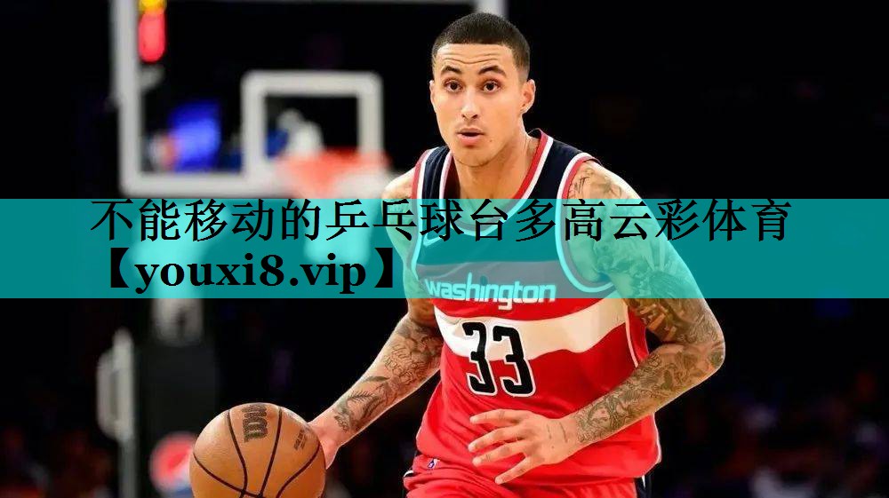 不能移动的乒乓球台多高云彩体育