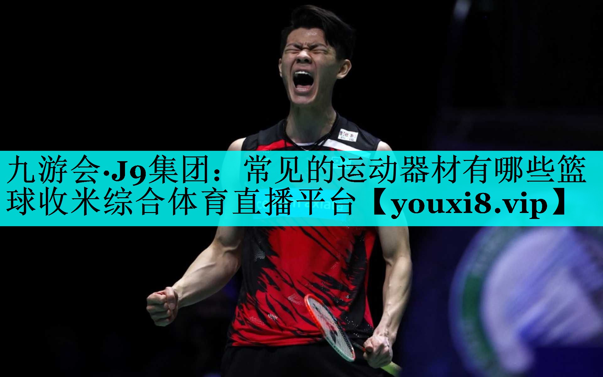 九游会·J9集团：常见的运动器材有哪些篮球收米综合体育直播平台
