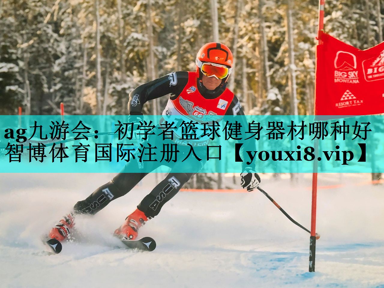 ag九游会：初学者篮球健身器材哪种好智博体育国际注册入口