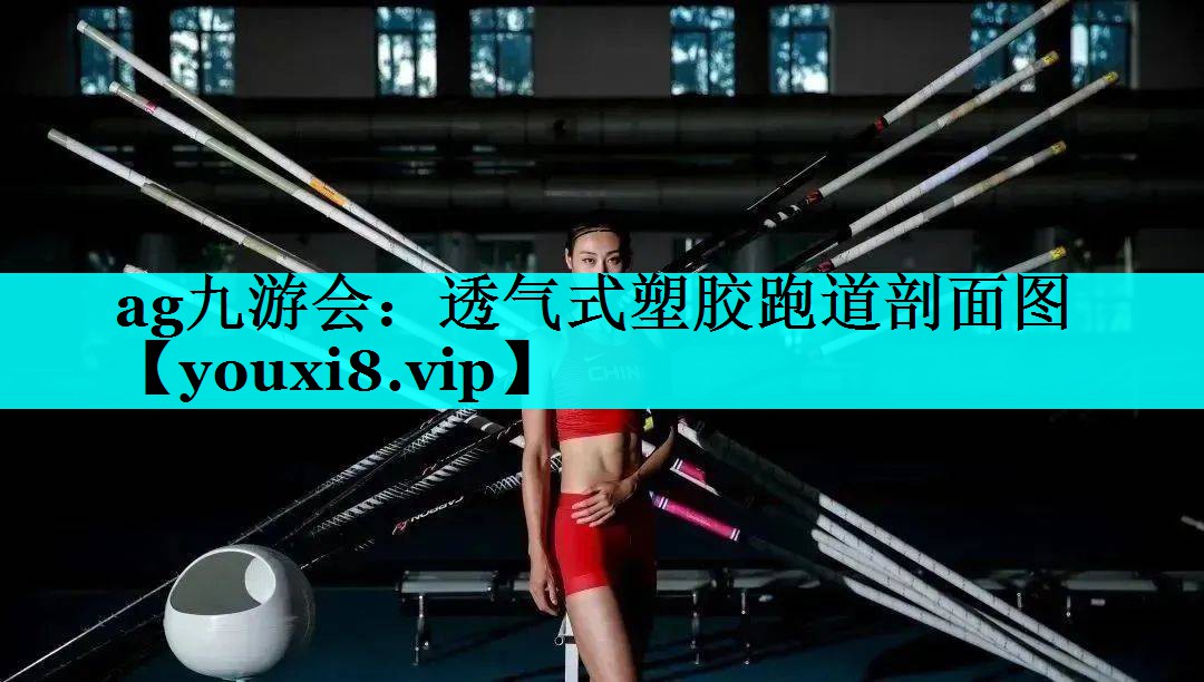透气式塑胶跑道剖面图 透气式塑胶跑道剖面图
