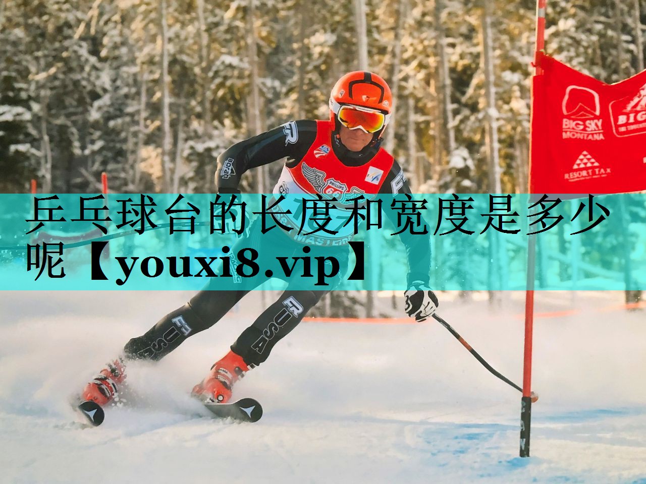 乒乓球台的长度和宽度是多少呢 乒乓球台的长度和宽度是多少呢